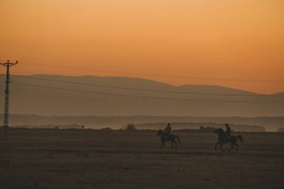Silhouette of people riding horses on brown field during daytime.