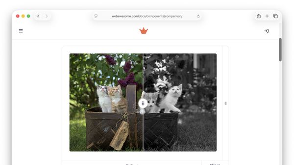 The Web Awesome comparison component documentation, kittens split between color and grayscale