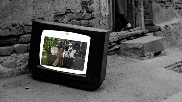 The television shows the Web Awesome comparison component—kittens in a basket, half color and half grayscale