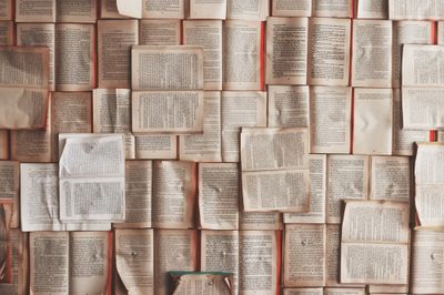 A top-down photo of a large selection of open books