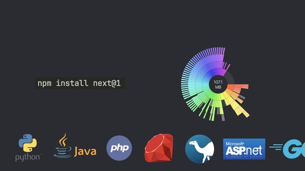 npm install next@1 and a 107.1 MB dependency sunburst