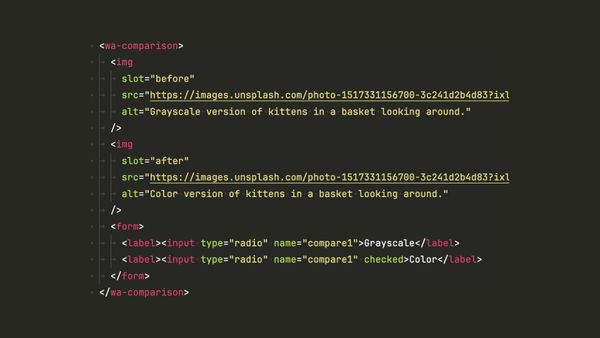 The markup up close—two slotted images and a form with Grayscale and Color radio buttons