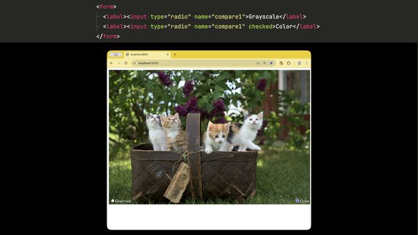 The form markup above a browser showing the kittens with working radio buttons
