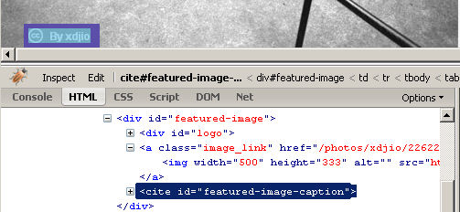 Flickr Citation Tag